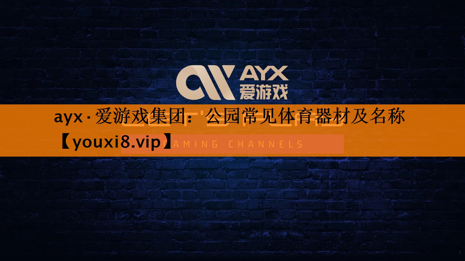 ayx·爱游戏集团：公园常见体育器材及名称