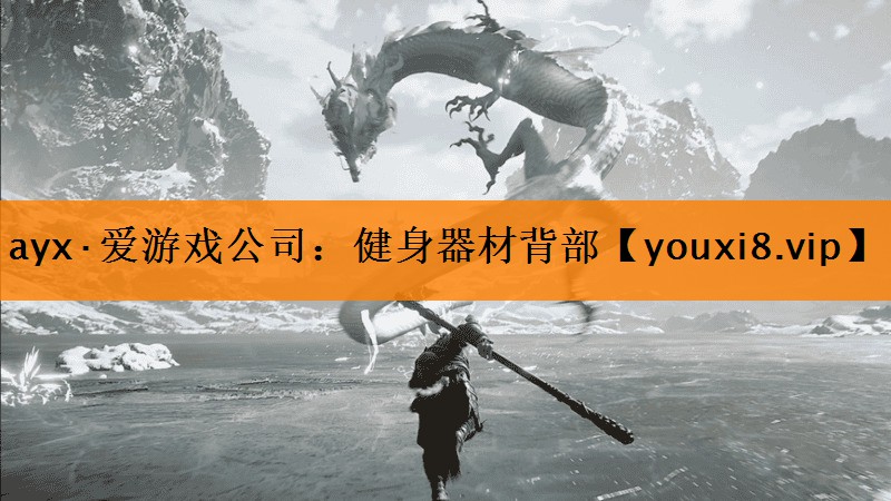 ayx·爱游戏公司：健身器材背部