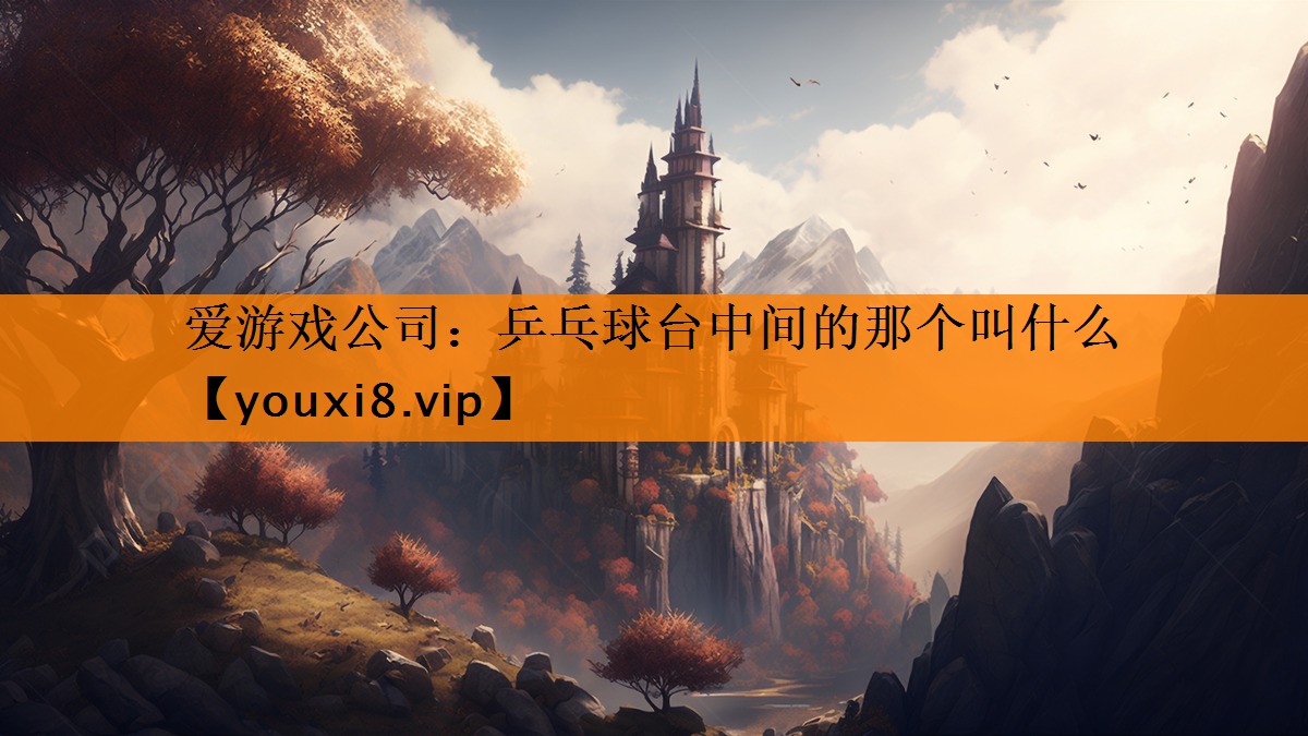乒乓球台中间的那个叫什么 乒乓球台中间的那个叫什么